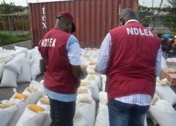 Navy Hands Over 756kg of Cannabis to NDLEA