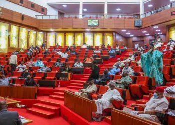 Senate Distances Itself from Fake Agency Controversy, Says No Petition Received