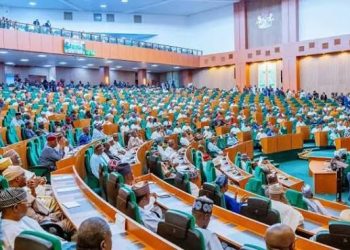 House of Reps in Chaos Over Move to Summon Tinubu on Budget Delays