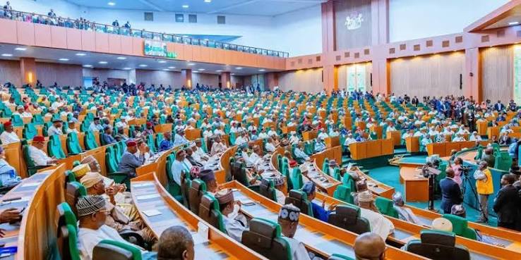 House of Reps in Chaos Over Move to Summon Tinubu on Budget Delays