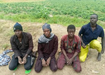 Four ISWAP Members Surrender, Expose Terrorist Enclave in Marte