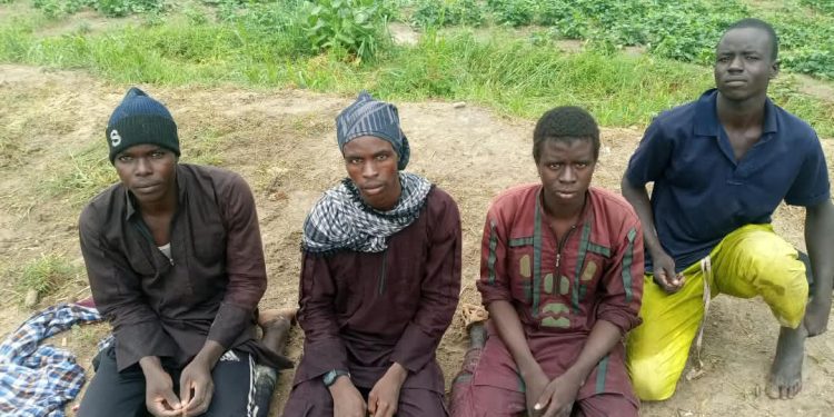 Four ISWAP Members Surrender, Expose Terrorist Enclave in Marte