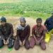 Four ISWAP Members Surrender, Expose Terrorist Enclave in Marte