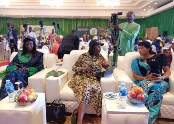 FG Declares Breastfeeding a National Priority
