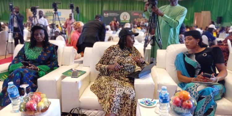 FG Declares Breastfeeding a National Priority