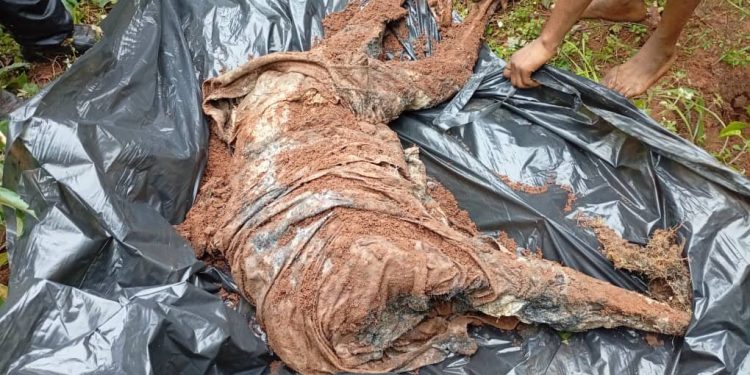 Suspects Lead Troops to Shallow Grave of Slain Imo Community Leader