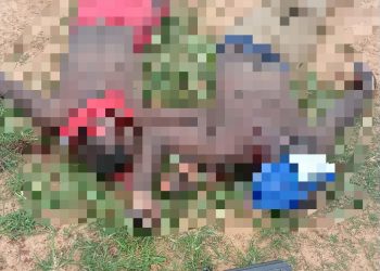 Troops Foil Bandits’ Ambush, Recover AK-47 Rifle in Plateau