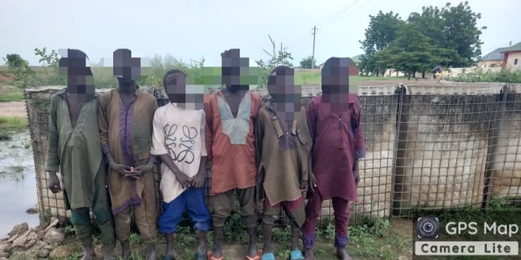 Terrorists Surrender Rise 213% as Army Sustains Pressure in North-East
