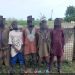 Terrorists Surrender Rise 213% as Army Sustains Pressure in North-East