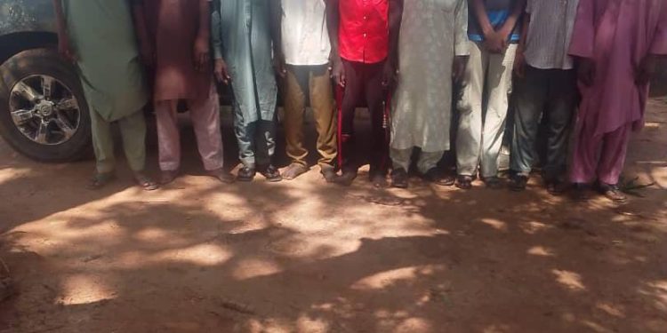 Troops Rescue Nine Kidnap Victims, Foil Terrorist Attacks in Niger