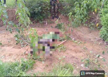 Operation Fansan Yamma: Troops Repel Terrorist Attacks, Rescue Construction Workers in Katsina, Kebbi