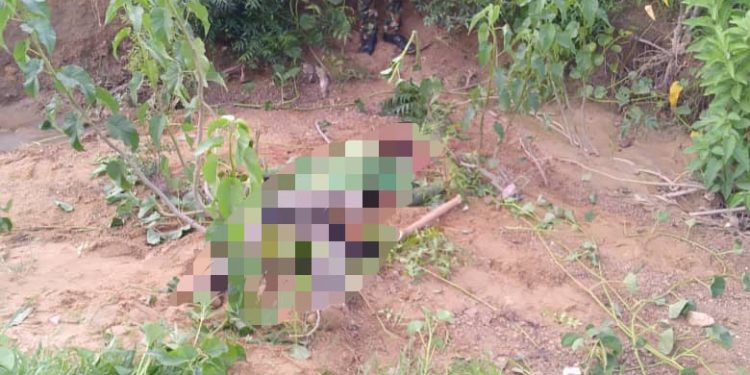 Operation Fansan Yamma: Troops Repel Terrorist Attacks, Rescue Construction Workers in Katsina, Kebbi