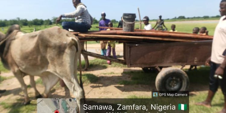 Troops Intercept Canoes Procured by Terrorist Kingpin in Zamfara