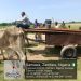 Troops Intercept Canoes Procured by Terrorist Kingpin in Zamfara