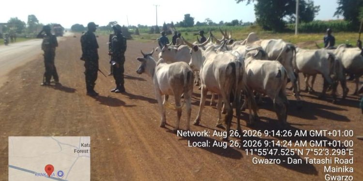 Troops Rescue Two Kidnap Victims, Recover 94 Rustled Animals in Kaduna, Kano
