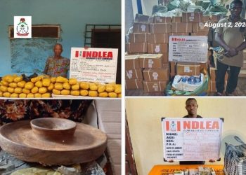 NDLEA Intercepts Cocaine Hidden In Mortar, Backpack Bound For China, Italy; Seizes 26,000 Bottles of Codeine