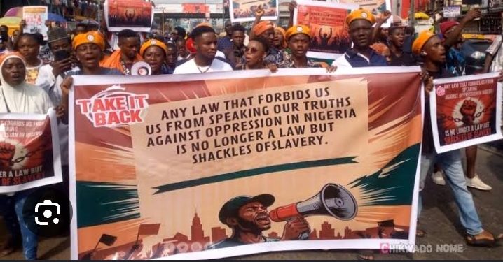 Take It Back Movement staged protests in Lagos and Abuja