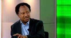 Osun 2026: Divided opposition gives APC edge, says Shehu Sani