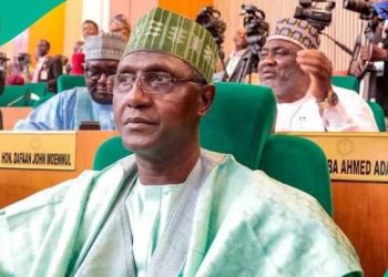 Northern Senators Demand Urgent Action on State Police Bill After Terror Attacks
