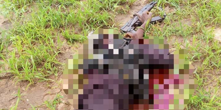 TROOPS NEUTRALISE BOKO HARAM FIGHTER, RECOVER ARMS IN YOBE