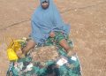 TROOPS ARREST TERRORIST KINGPIN, AMMUNITION COURIER IN KADUNA