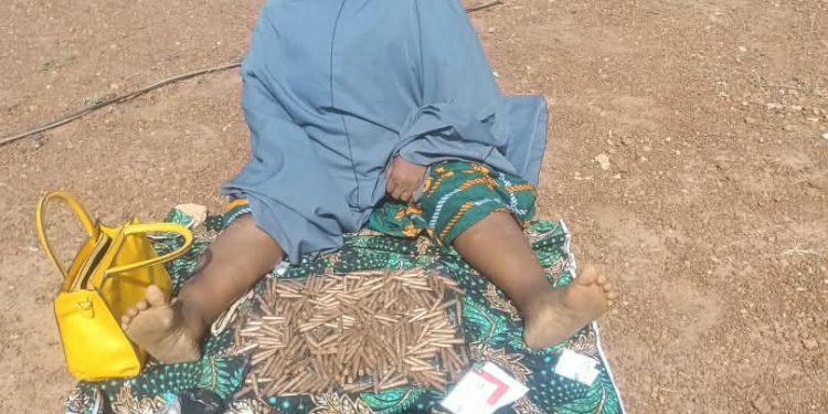 TROOPS ARREST TERRORIST KINGPIN, AMMUNITION COURIER IN KADUNA