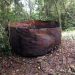 Navy foils illegal refinery revival, recovers 350 litres of AGO in Rivers